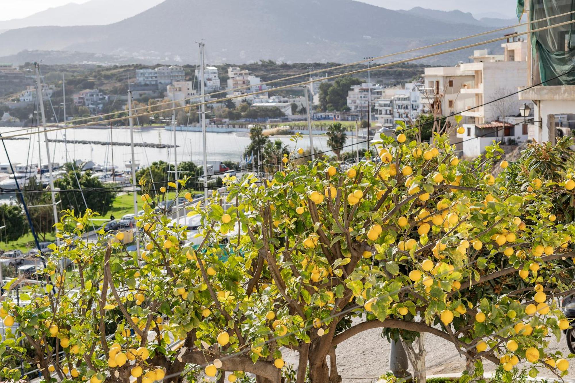 Jelena Apartments By The Sea Agios Nikolaos Buitenkant foto